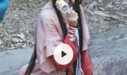 卓伟最新爆料白鹿视频,白鹿视频事件再掀波澜