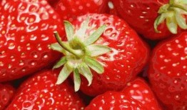 草莓果冻爆料视频大全,揭秘幕后真相与精彩瞬间